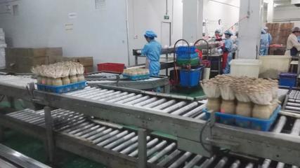 市投促局赴上海考察取得積極成果，四項(xiàng)目達(dá)成技術(shù)咨詢共識